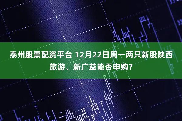 泰州股票配资平台 12月22日周一两只新股陕西旅游、新广益能否申购？