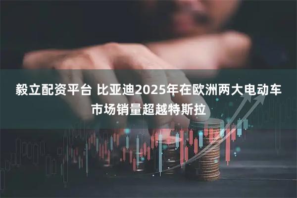 毅立配资平台 比亚迪2025年在欧洲两大电动车市场销量超越特斯拉