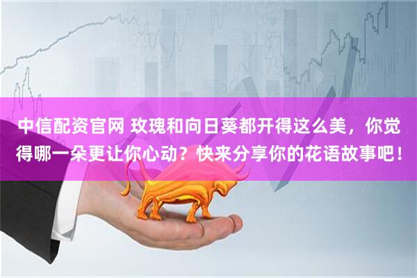 中信配资官网 玫瑰和向日葵都开得这么美，你觉得哪一朵更让你心动？快来分享你的花语故事吧！